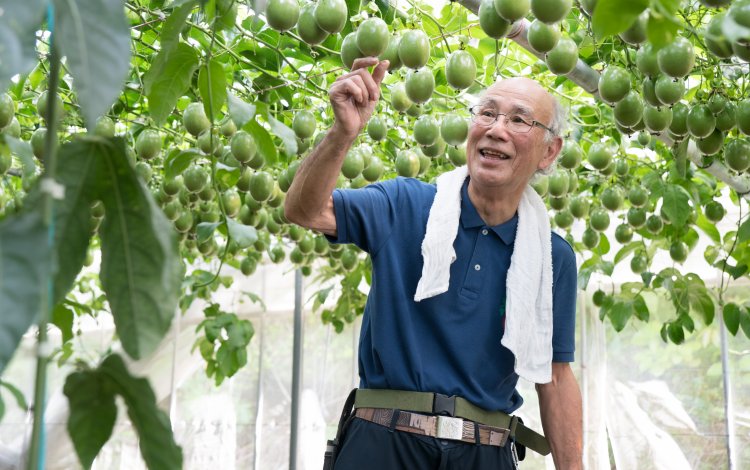 楽しみながら、作物に寄り添って栽培する