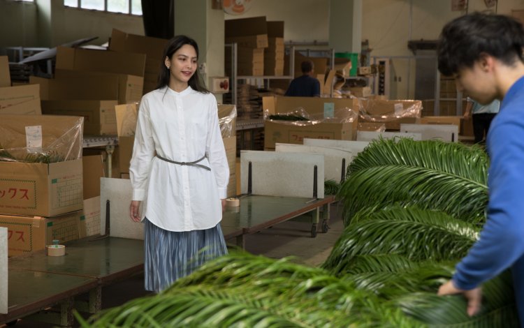 全国シェアほぼ100％を誇るフェニックスロベレニー