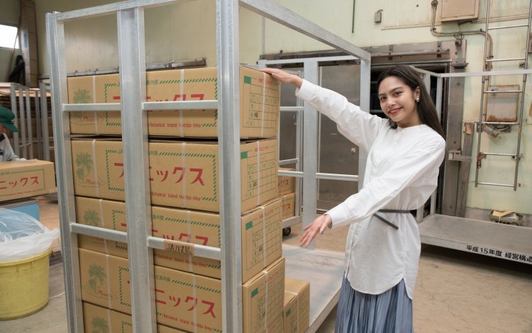「ロベ」の栽培開始から100周年！