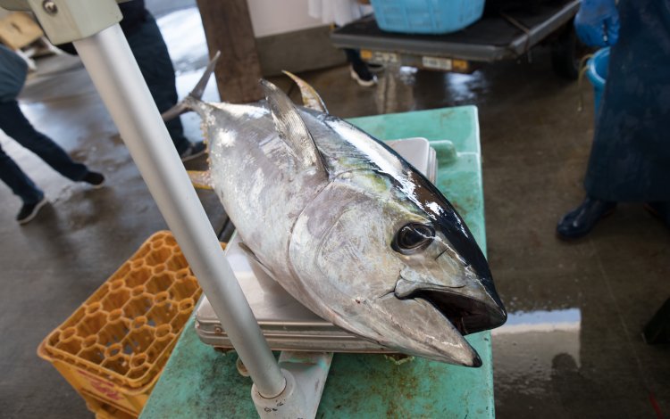 取材担当者から一言