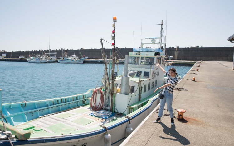 漁場が近いから鮮度が落ちず、新鮮な魚を出荷できる