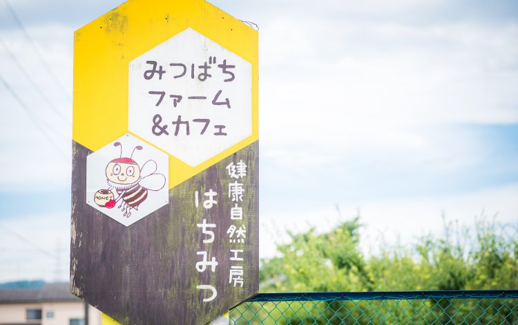 養蜂の世界は不思議がいっぱい
