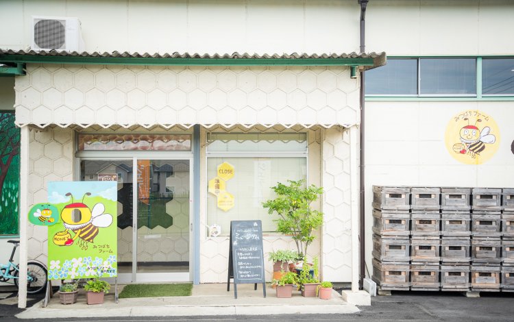 養蜂の世界は不思議がいっぱい