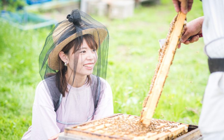 ミツバチの巣箱にドキドキと感動！