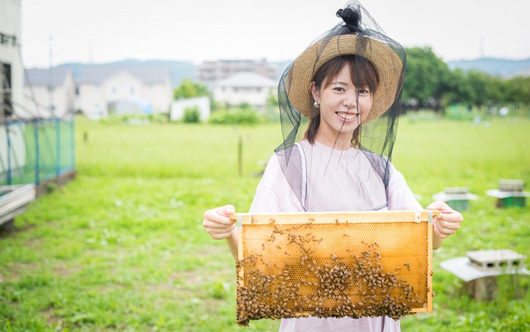 貴重な多摩のはちみつ