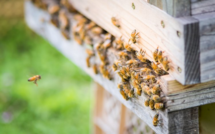 取材担当者から一言