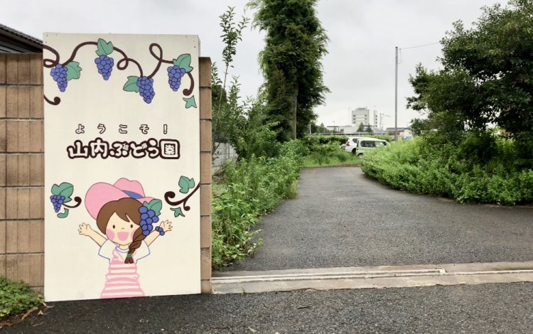 東京で野菜収穫体験＆ピザ作り