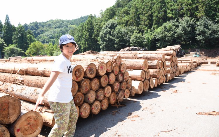 東京の森林？東京で林業？