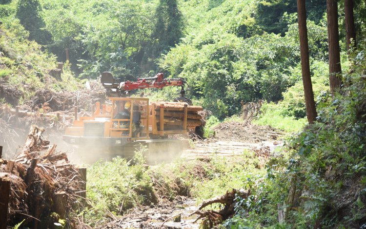 林業の停滞が招いたもの