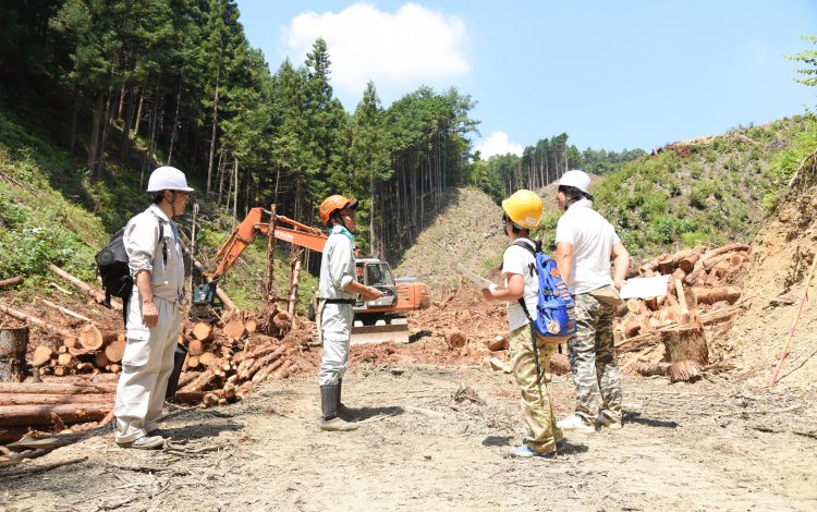 農業に通じる、林業の仕組み