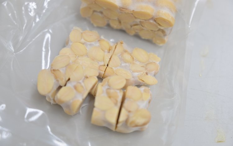 テンペって何？