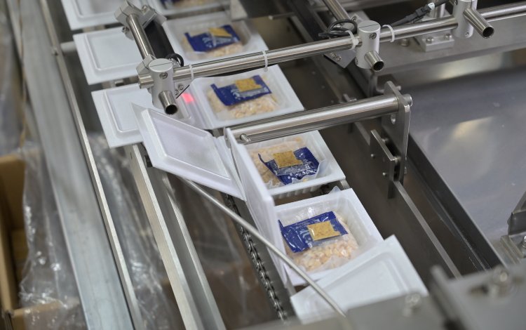 取材担当者から一言