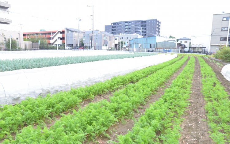 農地を守り抜いてきた人々の情熱