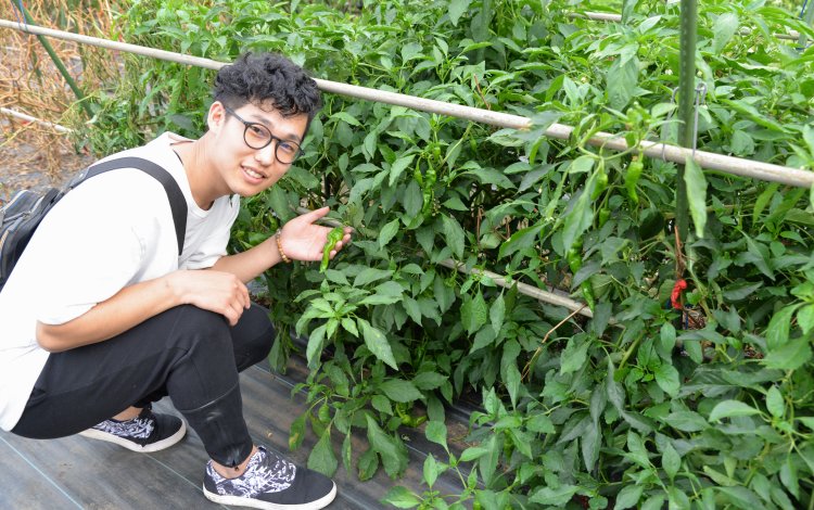 都市農業の役割と可能性