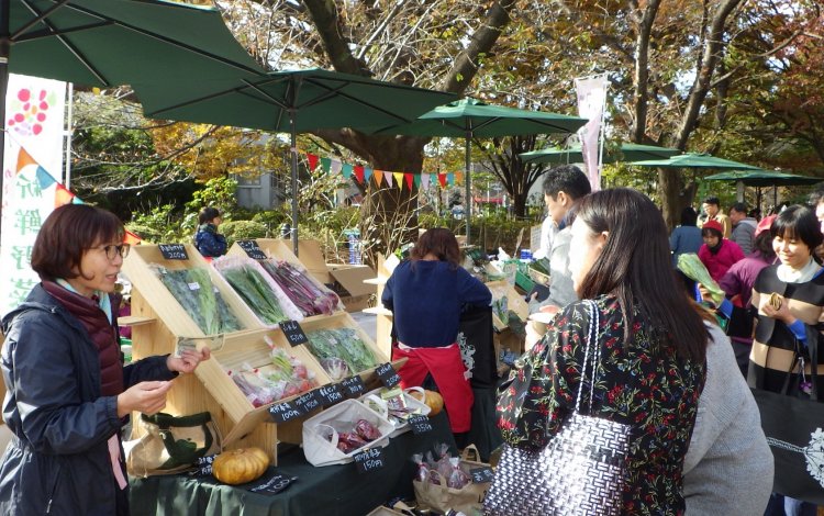 楽しいイベントも盛りだくさん