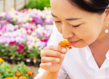 東京紅茶と谷中生姜のコンフィチュール