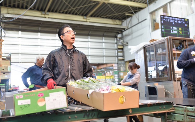 多摩生花地方卸売市場