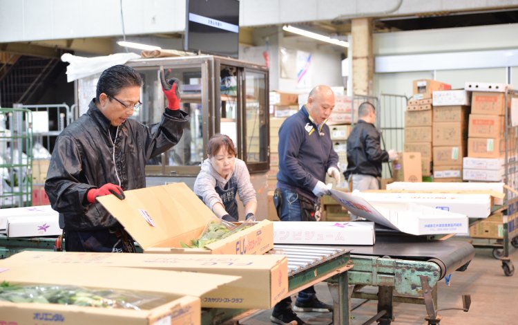 多摩生花地方卸売市場