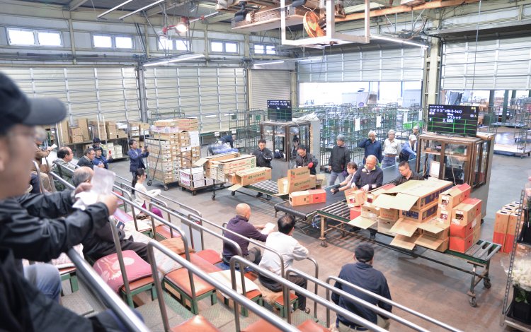 多摩生花地方卸売市場