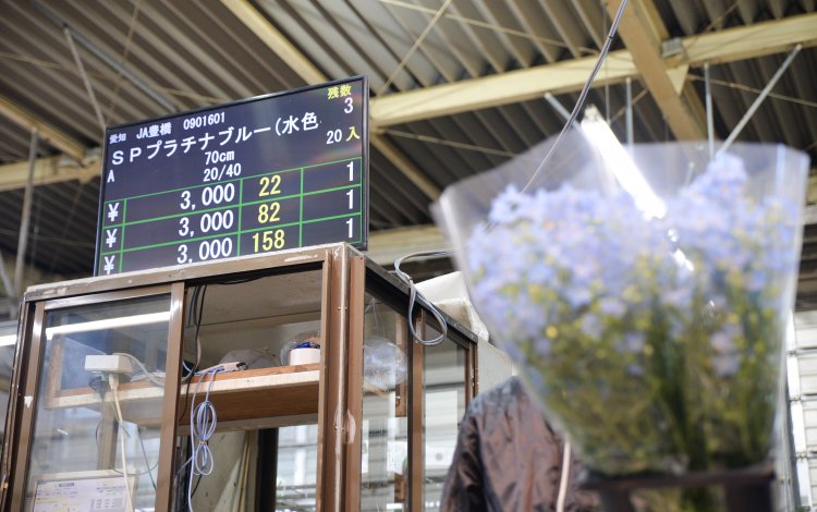 伝統を守る「手ぜり」