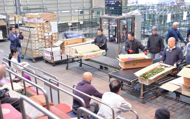 まるで呪文？！職人たちの貴重な「手ぜり」を体験