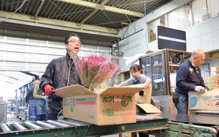 伝統が受け継がれる多摩生花地方卸売市場