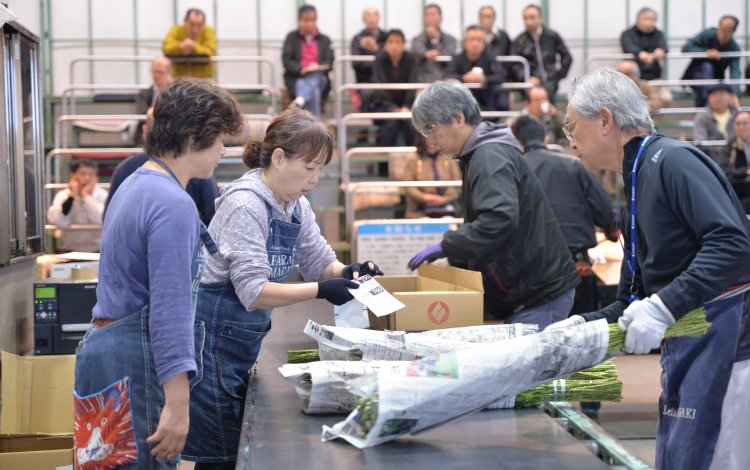 伝統が受け継がれる多摩生花地方卸売市場