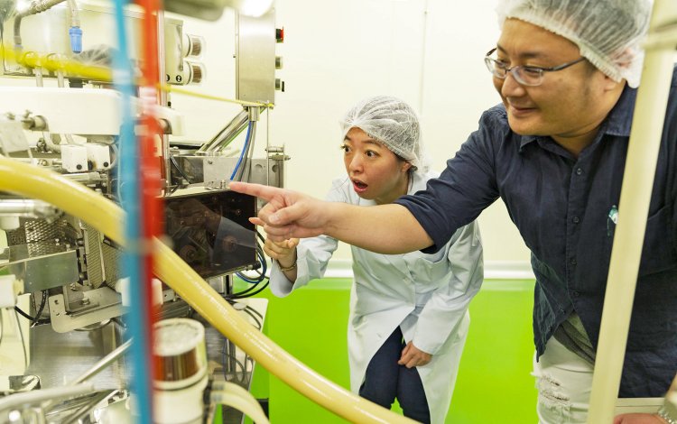 まるで鍾乳洞？！工場の爽やかな空気