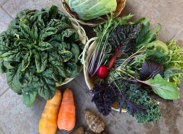 やすだ農園のビーツドレッシングと カラフル冬野菜セット！