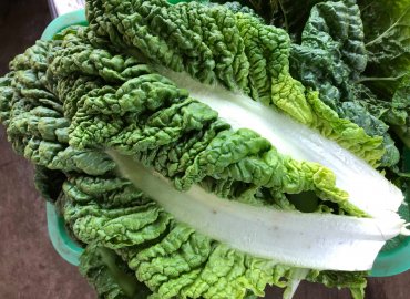 やすだ農園のビーツドレッシングと カラフル冬野菜セット！