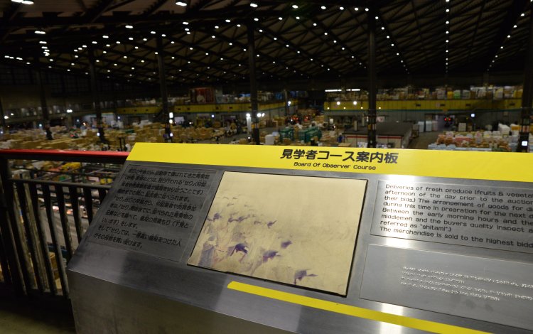 いよいよせりのスタート！