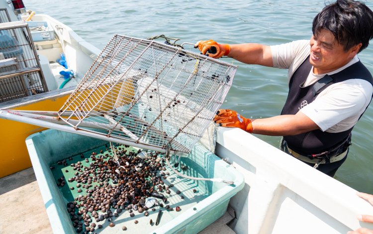 東京のシジミ漁