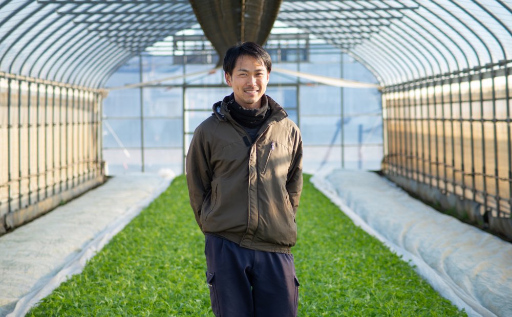 愛情野菜専業農家ヤマヨシ