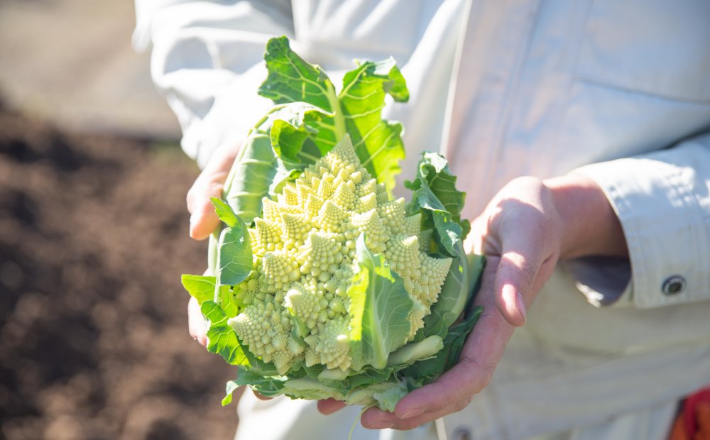 東京都立瑞穂農芸高等学校