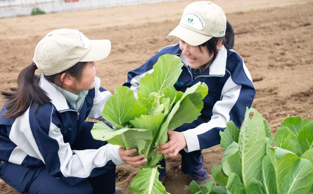東京都立農産高等学校
