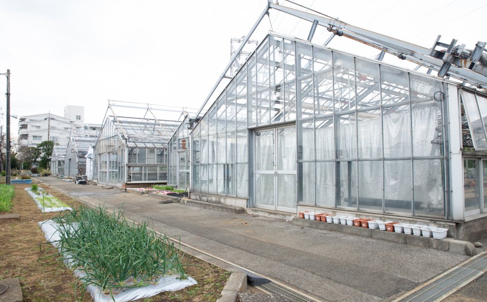 東京都立農産高等学校