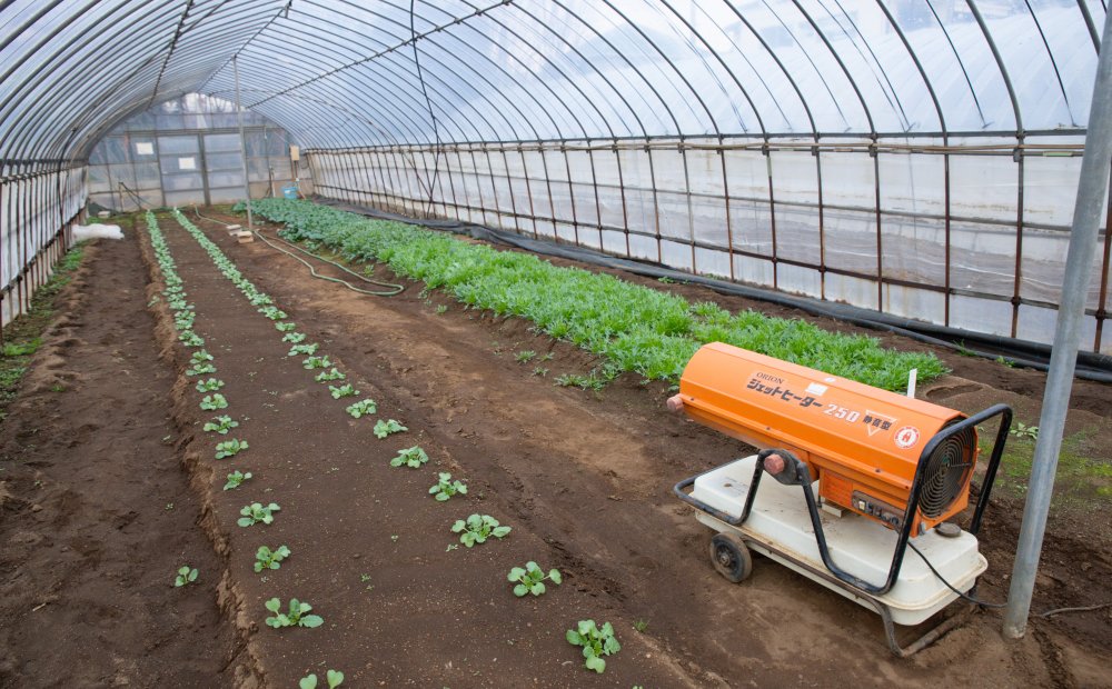 東京都立農芸高等学校
