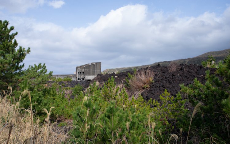 ニーズに応える商品づくり
