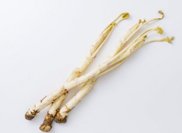 江戸東京野菜の種と東京野菜のセット