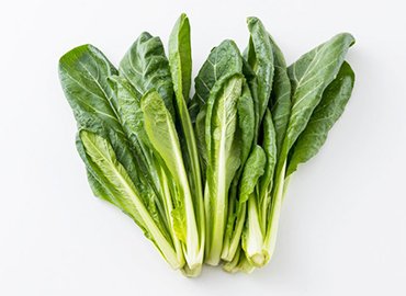江戸東京野菜の種と東京野菜のセット
