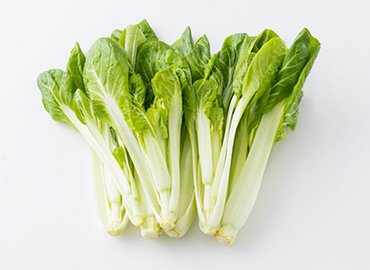 江戸東京野菜の種と東京野菜のセット