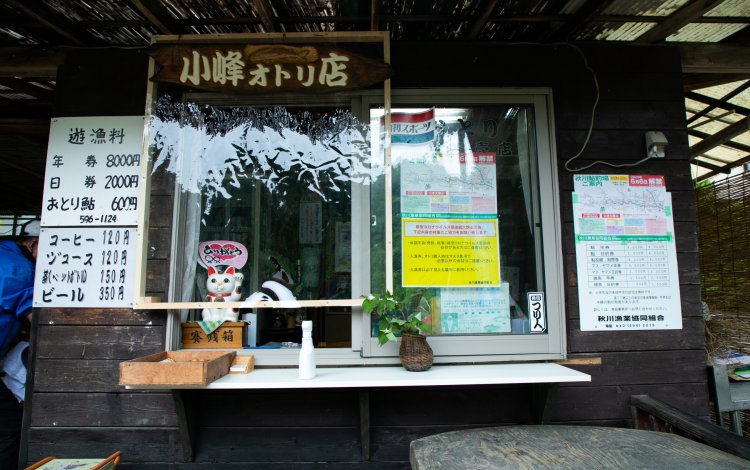 おとり鮎を掴んでみた