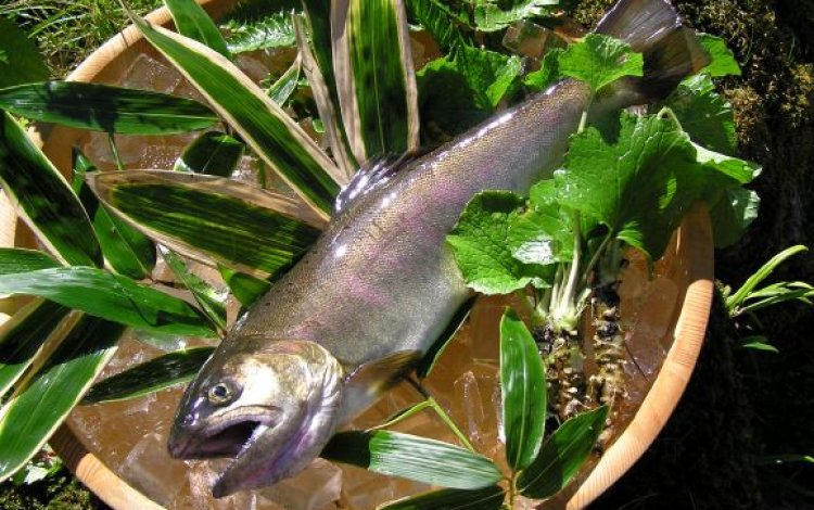 奥多摩やまめとは？