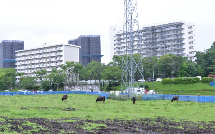 ”牛は飼い主に似る”！？