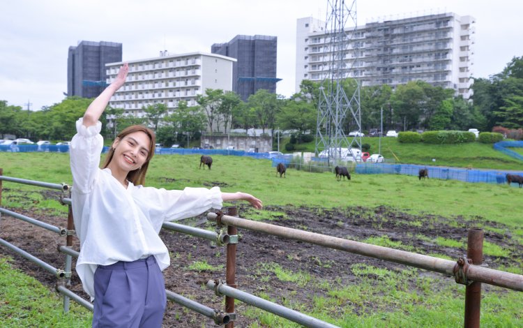東京ビーフとは？
