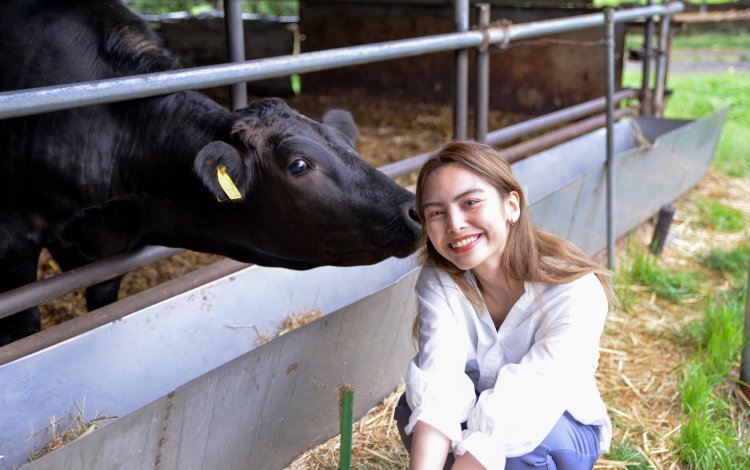 東京でこんなに近くで牛を見れるの？