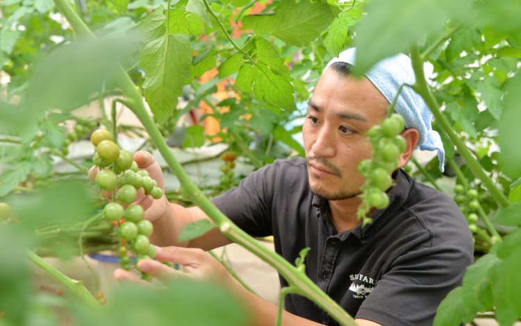 “COCO TOMATO”への想い