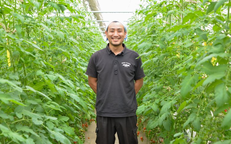 トマト好きだからこそ