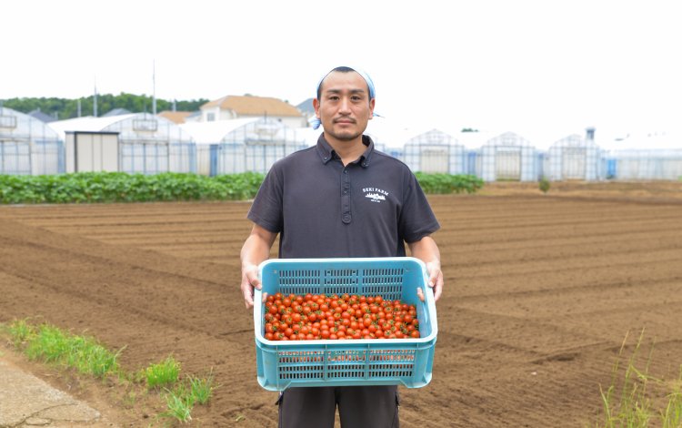 “COCO TOMATO”への想い