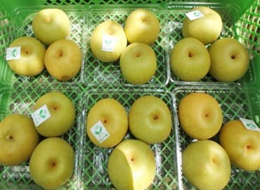 都立高校のうこっけい卵、お茶、ナス、梨のセット